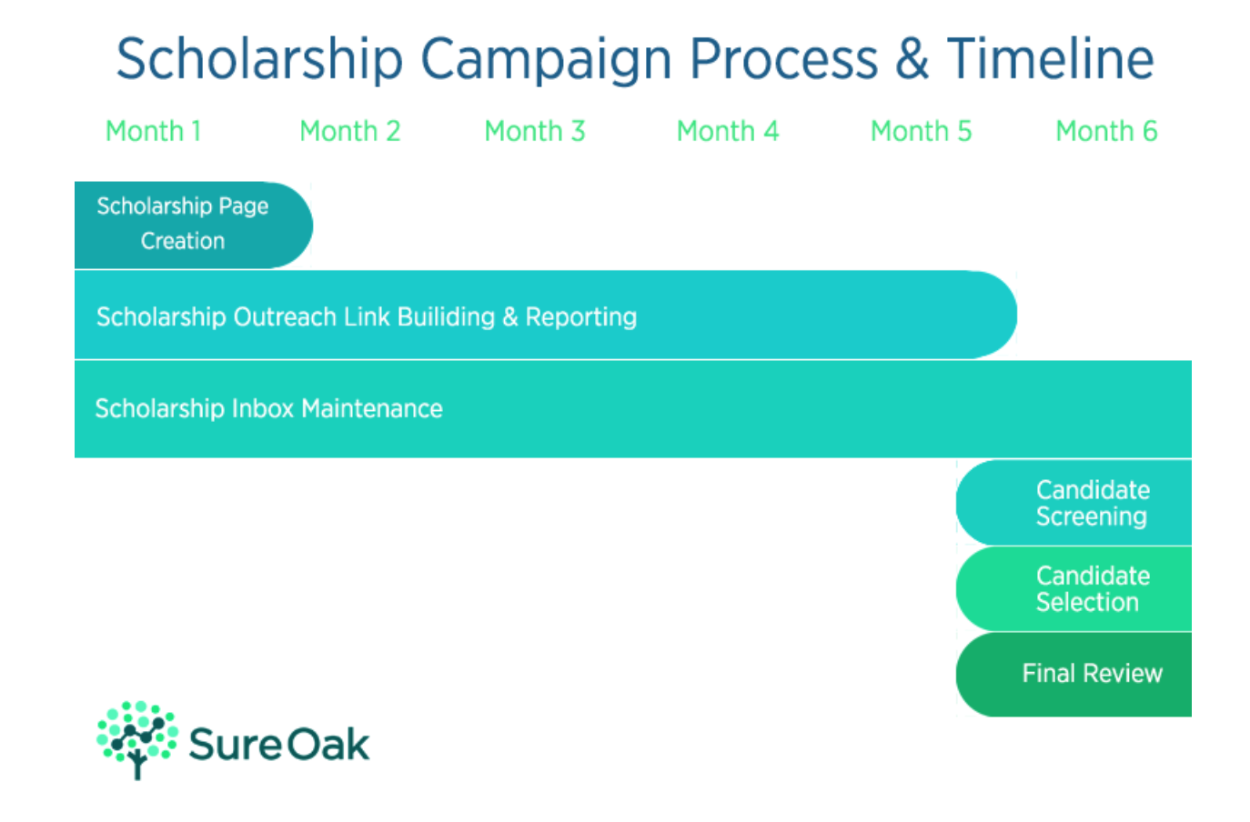Sure Oak link building process